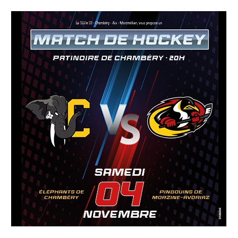 Match de Hockey - CMCAS Pays de Savoie