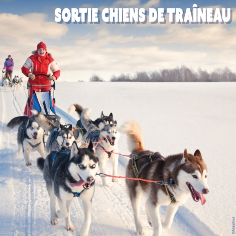 2024 - Sortie Chiens de traineaux au Roc d'Enfer - CMCAS Pays de Savoie