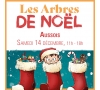 Inscription Arbre de Noël - AUSSOIS 2024 - CMCAS Pays de Savoie