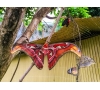 JOURNEE EN SUISSE : GROTTE DE VALLORBE - PAPILIORAMA & NOCTURAMA - CMCAS PAYS DE SAVOIE