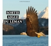 2025 - Sortie Aigle du Léman - CMCAS Pays de Savoie