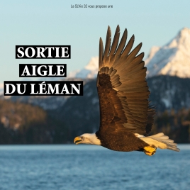 2025 - Sortie Aigle du Léman - CMCAS Pays de Savoie