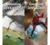 2025 - CANYONING SENSATION - CMCAS Pays de Savoie