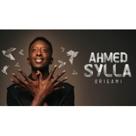SPECTALE AHMED SYLLA : ORIGAMI - LYON - CMCAS PAYS DE SAVOIE