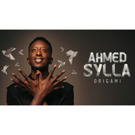 SPECTALE AHMED SYLLA : ORIGAMI - LYON - CMCAS PAYS DE SAVOIE