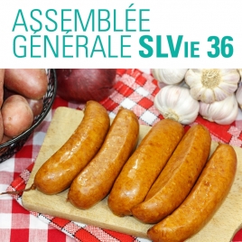 2025 - Assemblée générale SLV36 - CMCAS Pays de Savoie