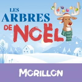 Inscription Arbre de Noël - MORILLON 2025 - CMCAS Pays de Savoie
