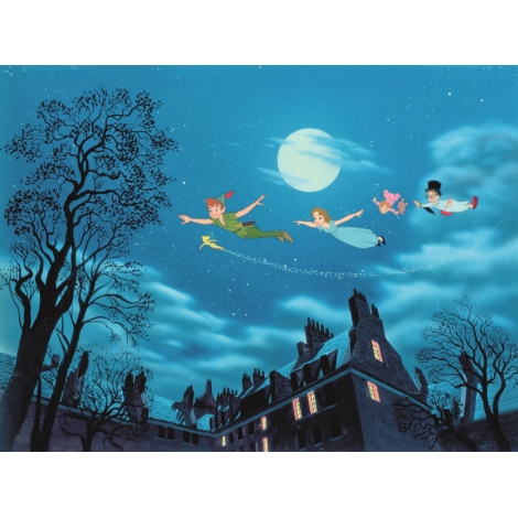 CINEOKE : PETER PAN - MALRAUX - CHAMBERY - CMCAS PAYS DE SAVOIE