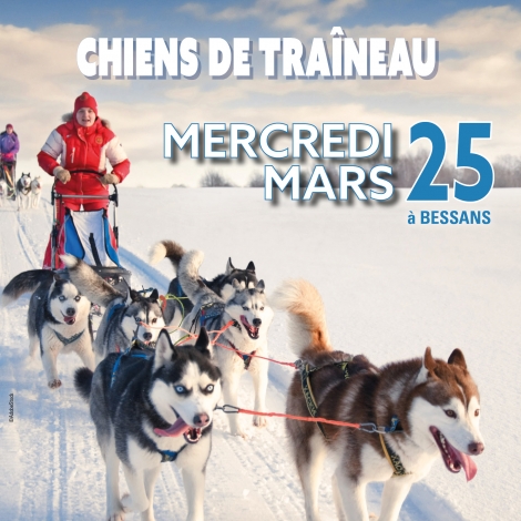 2026 - Chiens de traineau - CMCAS Pays de Savoie