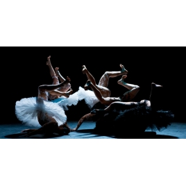 SPECTACLE : LE LAC DES CYGNES - CHATEAU ROUGE ANNEMASSE - CMCAS PAYS DE SAVOIE