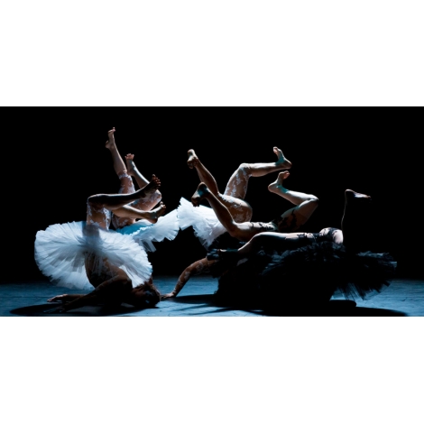 SPECTACLE : LE LAC DES CYGNES - CHATEAU ROUGE ANNEMASSE - CMCAS PAYS DE SAVOIE