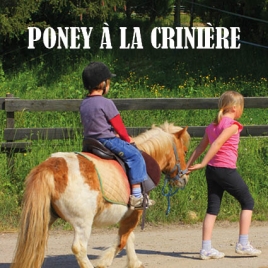 2026 - Poney à la crinière - CMCAS Pays de Savoie