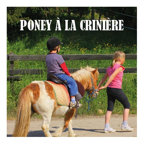 2026 - Poney à la crinière - CMCAS Pays de Savoie