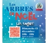 Inscription Arbre de Noël -  LES SAISIES 2026 - CMCAS Pays de Savoie