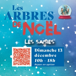 Inscription Arbre de Noël -  LES SAISIES 2026 - CMCAS Pays de Savoie