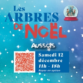 Inscription Arbre de Noël - AUSSOIS 2026 - CMCAS Pays de Savoie