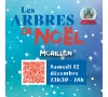 Inscription Arbre de Noël - MORILLON 2026 - CMCAS Pays de Savoie