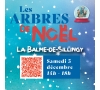 Inscription Arbre de Noël - LA BALME DE SILLINGY 2026 - CMCAS Pays de Savoie