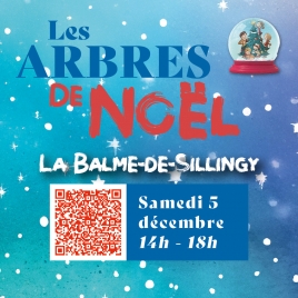 Inscription Arbre de Noël - LA BALME DE SILLINGY 2026 - CMCAS Pays de Savoie