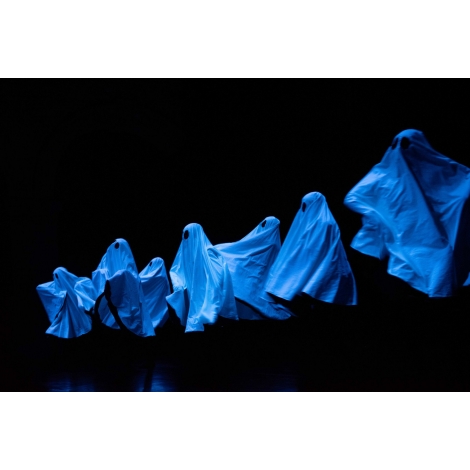 SPECTACLE PILLOWGRAPHIES - MALRAUX - CHAMBERY - CMCAS PAYS DE SAVOIE