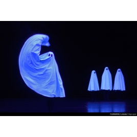 SPECTACLE PILLOWGRAPHIES - MALRAUX - CHAMBERY - CMCAS PAYS DE SAVOIE