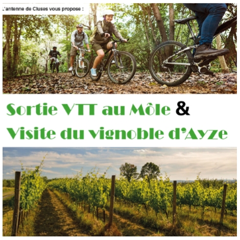 Sortie VTT au môle et découverte du vignoble d'Ayse - CMCAS Pays de Savoie