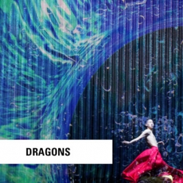 SPECTACLE CIRQUE - DRAGONS - CMCAS PAYS DE SAVOIE